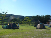 里山で昆虫採集しよう（キャンプ「テント」泊）